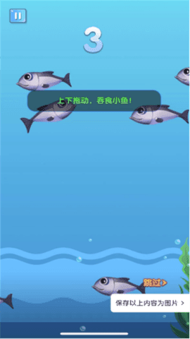 鲨鱼吃小鱼游戏(1)