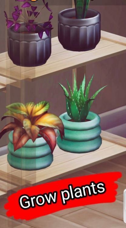 种植植物植物大亨游戏(1)